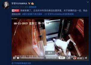 网友爆料网暴视频大全集,网友爆料网暴视频大全集深度解析