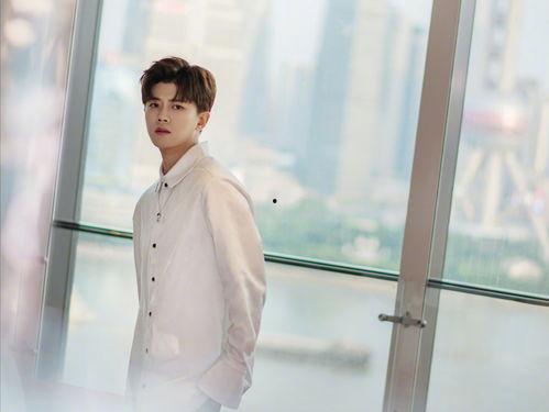 任嘉伦爆料大王视频,独家爆料背后的精彩瞬间