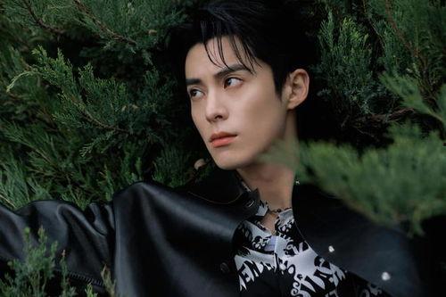 娱乐圈八卦爆料王鹤棣,娱乐圈新晋“爆料王”，揭秘明星幕后故事